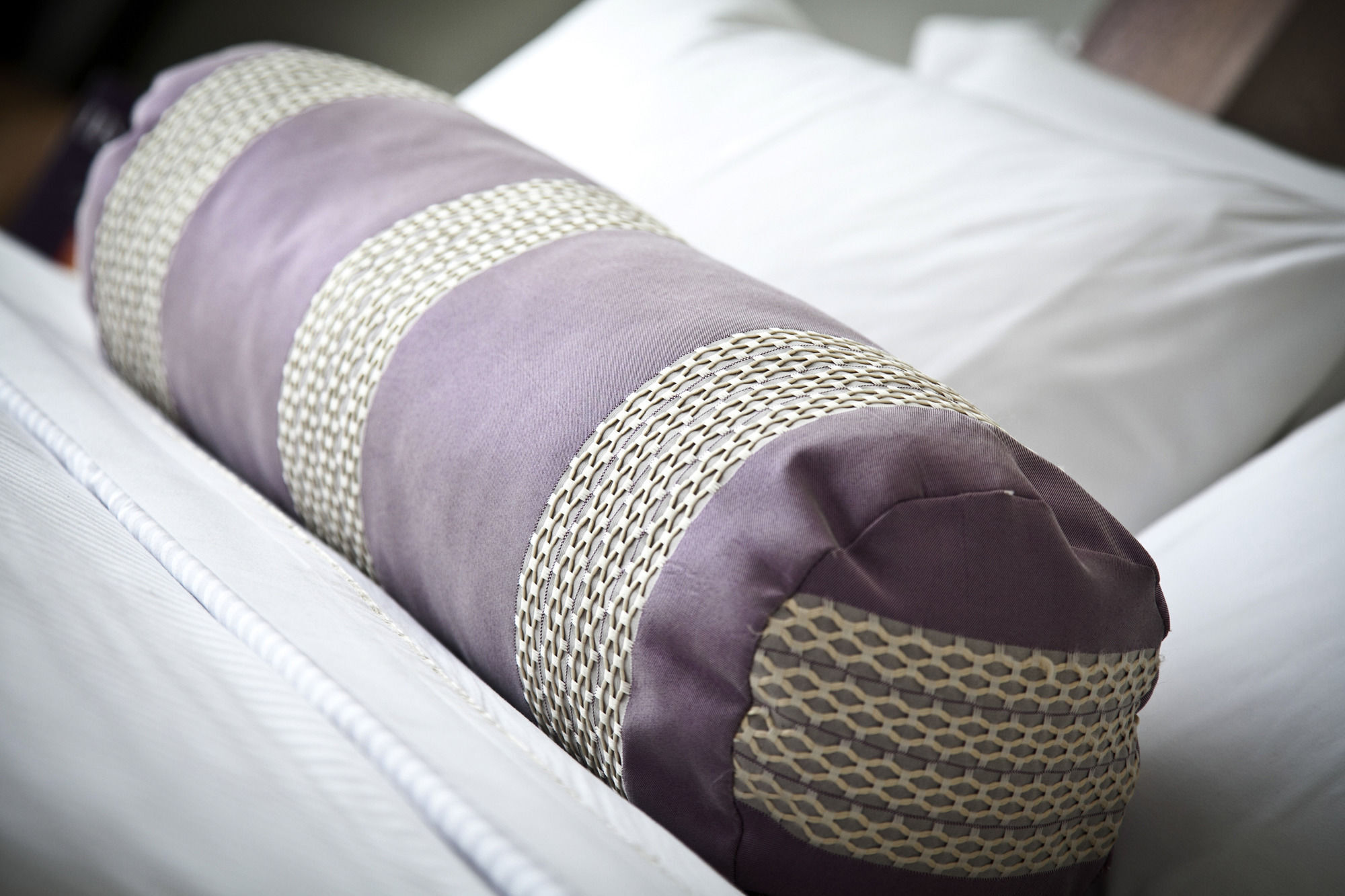Hs Hotsson Hotel Silao Ngoại thất bức ảnh